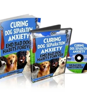 Curing Dog Separation Blog