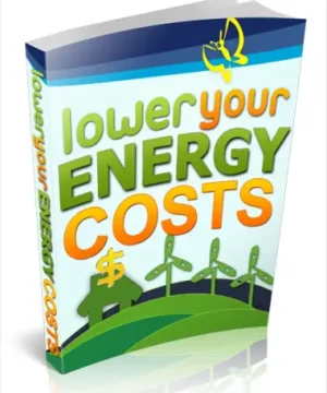 Lower Your Energy Costs
