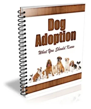 New Dog Adoptation PLR Newsletter