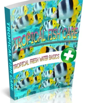 Tropical Fish Care