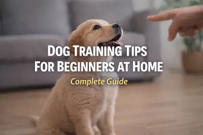 simple dog obedience training routine
